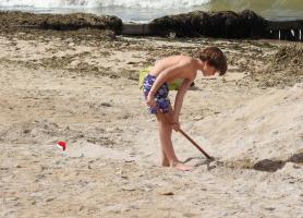 2017-187ème album ! Beach boy and his shovel
