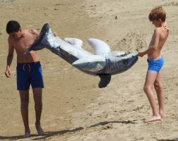 2020-047 Boys on the beach préparing the dolphin
