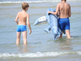 2020-048 Boys playing with a shark in the sea