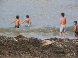 2017-188 A group of boys in the sea