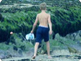 2017-226 Beach boy among algaes