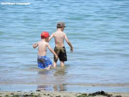 2016-086 Beach brothers with caps and shorts in the water