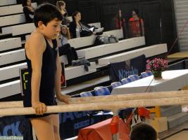 2012 - 50th album - Gymnastic national championships - qualifications - Parallel bars