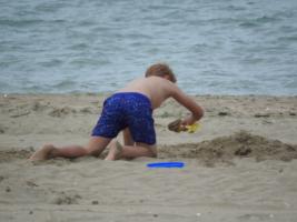 2017-290 Beach boy blue short on all fours