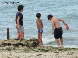 2016-115 3 beach boys one skinny in blue speedo